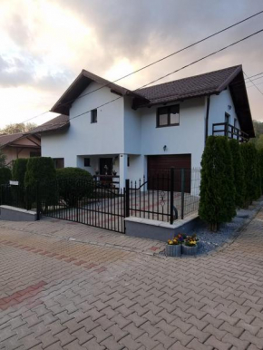 Pensiunea Azurul